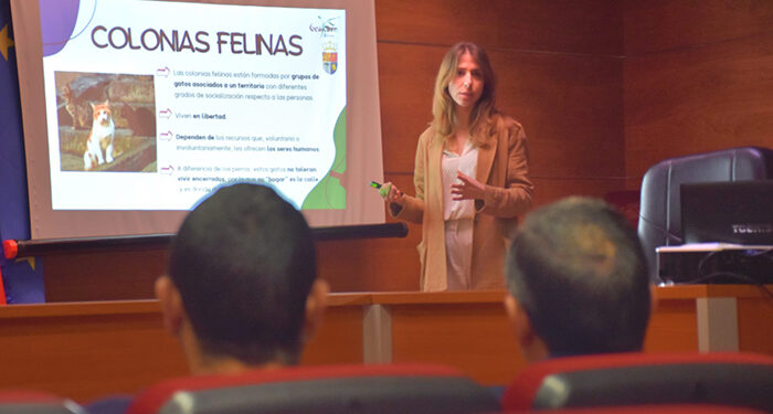 La Diputación de Cuenca y GEACAM trabajarán para concienciar sobre el control de las colonias felinas 1 La Diputación de Cuenca y GEACAM trabajarán para concienciar sobre el control de las colonias felinas