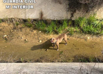 La Guardia Civil de Cuenca rescata un perro de un canal de agua en Zafra de Záncara