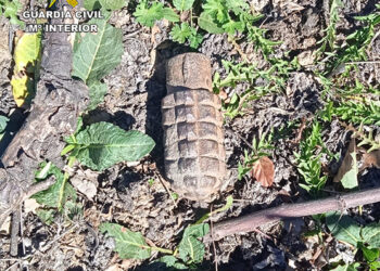 La Guardia Civil desactiva una granada de mano originaria de la Guerra Civil en Campillejo