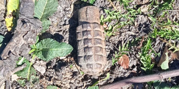 La Guardia Civil desactiva una granada de mano originaria de la Guerra Civil en Campillejo