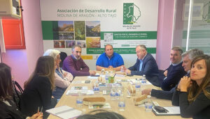 La Junta y grupos de Acción Local abordan el diseño de la Agenda de Desarrollo Urbano y Rural de Molina de Aragón