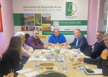 La Junta y grupos de Acción Local abordan el diseño de la Agenda de Desarrollo Urbano y Rural de Molina de Aragón