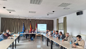 La Mesa Nacional del Ajo estima un descenso del 16% de superficie sembrada a nivel nacional