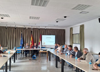 La Mesa Nacional del Ajo estima un descenso del 16% de superficie sembrada a nivel nacional