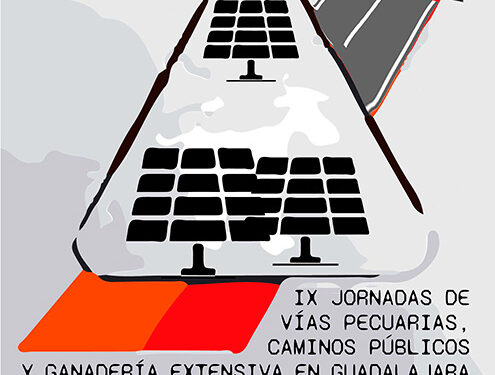 Maranchón acoge el fin de semana las IX Jornadas de Vías Pecuarias, Caminos Públicos y Ganadería Extensiva de Guadalajara