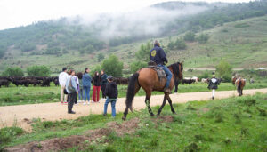 Medio centenar de estudiantes participarán en la fase de formación de Trashumancias 2.4