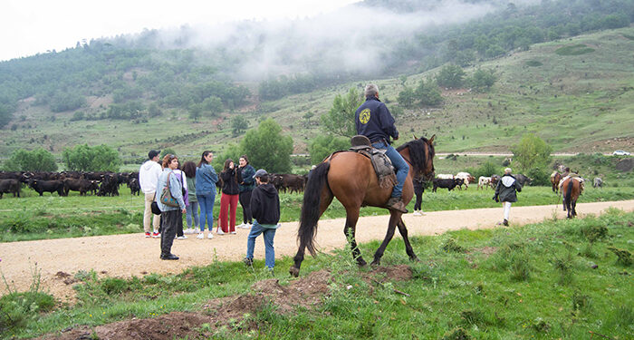 Medio centenar de estudiantes participarán en la fase de formación de Trashumancias 2.4 1 Medio centenar de estudiantes participarán en la fase de formación de Trashumancias 2.4