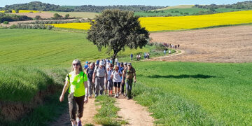 Ruta Solidaria Caminando por la Campiña por la Asociación Caminando