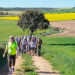 Ruta Solidaria Caminando por la Campiña por la Asociación Caminando