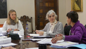 Sigüenza planifica los dispositivos de seguridad para los eventos de la temporada de verano