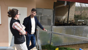 Valle de la Cantarería, una empresa de Canalejas del Arroyo que comercializa queso y cabrito alcarreño directamente