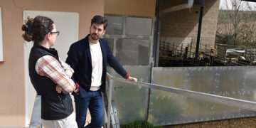 Valle de la Cantarería, una empresa de Canalejas del Arroyo que comercializa queso y cabrito alcarreño directamente
