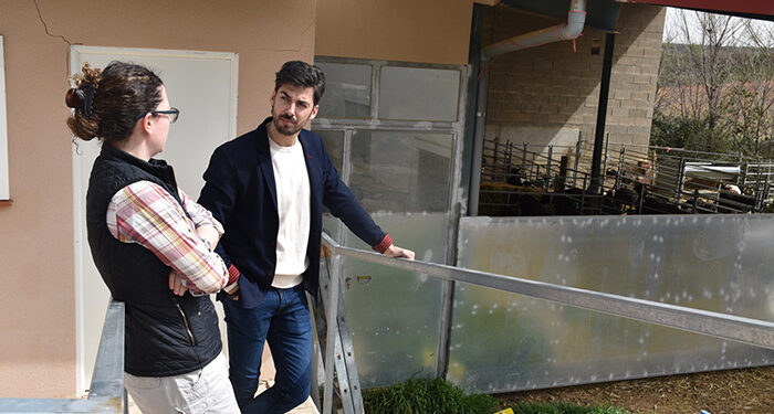 Valle de la Cantarería, una empresa de Canalejas del Arroyo que comercializa queso y cabrito alcarreño directamente