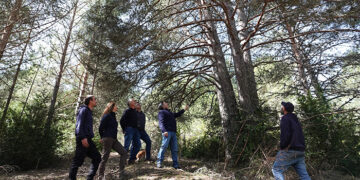 Vega del Codorno obtendrá ingresos durante los próximos 30 años  por conservar un bosque antiguo