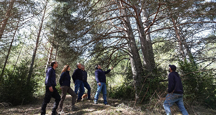 Vega del Codorno obtendra ingresos durante los proximos 30 anos por conservar un bosque antiguo 1