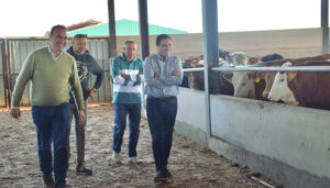 Veterinaria de precisión diagnóstica S.L. introduce el Big Data y la Inteligencia Artificial en la gestión de explotaciones ganaderas