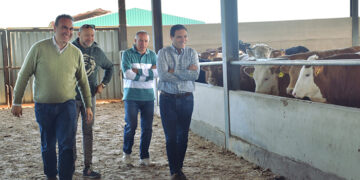 Veterinaria de precisión diagnóstica S.L. introduce el Big Data y la Inteligencia Artificial en la gestión de explotaciones ganaderas