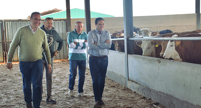 Veterinaria de precisión diagnóstica S.L. introduce el Big Data y la Inteligencia Artificial en la gestión de explotaciones ganaderas