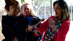 ‘La Camada’ seguirá gestionando el albergue municipal de animales de Guadalajara, remozado con obras de mejora