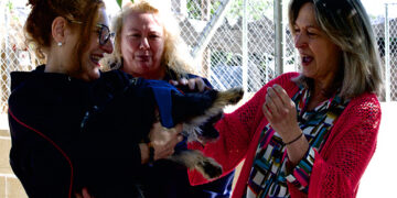 ‘La Camada’ seguirá gestionando el albergue municipal de animales de Guadalajara, remozado con obras de mejora