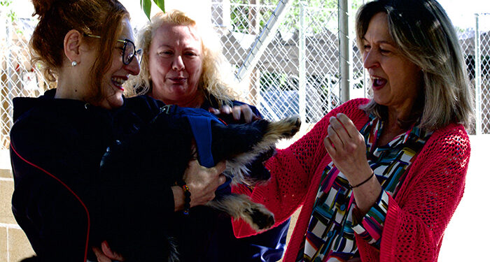 ‘La Camada’ seguirá gestionando el albergue municipal de animales de Guadalajara, remozado con obras de mejora