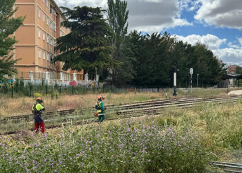 ADIF inicia los trabajos de limpieza y desbroce de los terrenos de su propiedad en Cuenca