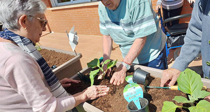 Arranca la temporada del huerto en altura en el Centro de Mayores de Cabanillas 1 Arranca la temporada del huerto en altura en el Centro de Mayores de Cabanillas