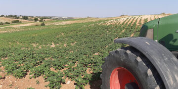 Asaja Cuenca califica de “despropósito” la modificación de la flexibilización de diversificación de cultivos y pide responsabilidades al Ministerio de Agricultura