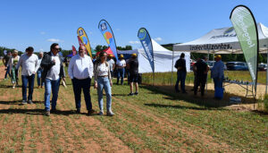 Castilla-La Mancha pone en marcha ayudas para mejorar la capacitación digital de los agricultores y ganaderos de la región
