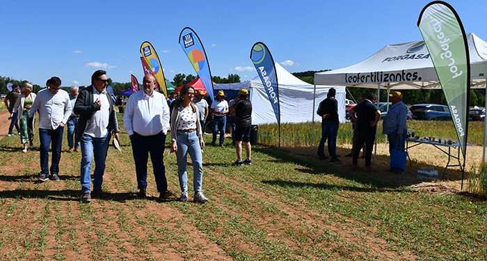 Castilla-La Mancha pone en marcha ayudas para mejorar la capacitación digital de los agricultores y ganaderos de la región