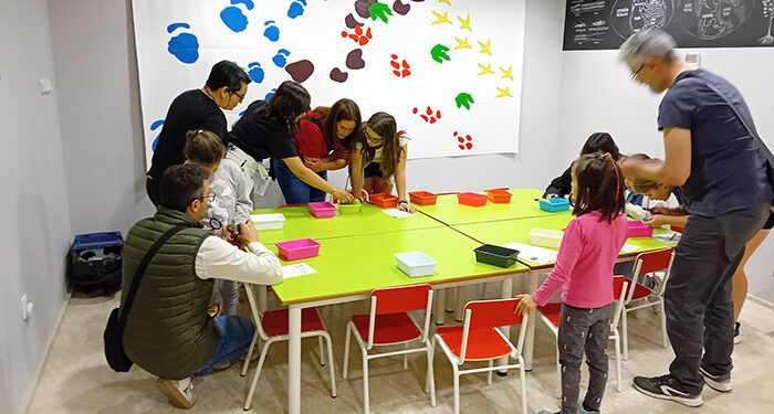 Cerca de 5.500 personas participaron en las actividades del Día de los Museos organizadas por el MUPA, el Museo de las Ciencias y el Museo de Cuenca