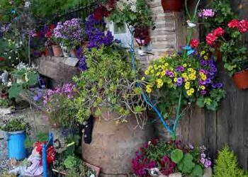 Cogolludo, más florido que nunca, con su concurso de decoración de fachadas y balcones