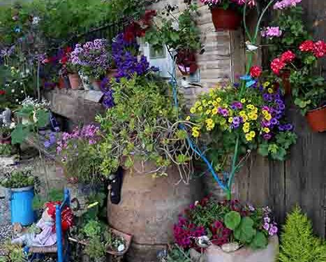 Cogolludo, más florido que nunca, con su concurso de decoración de fachadas y balcones 1 Cogolludo, más florido que nunca, con su concurso de decoración de fachadas y balcones