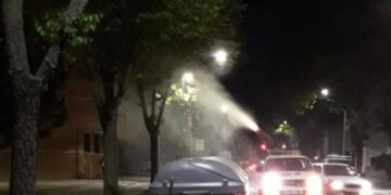 Comienza una nueva campaña de fumigación en parques y zonas arboladas de Guadalajara