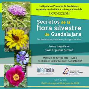 El Centro San José de la Diputación acoge la exposición ‘Secretos de la flora silvestre de Guadalajara’