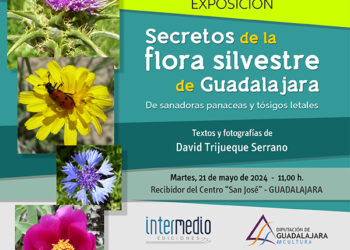 El Centro San José de la Diputación acoge la exposición ‘Secretos de la flora silvestre de Guadalajara’ El Centro San José de la Diputación acoge la exposición ‘Secretos de la flora silvestre de Guadalajara’