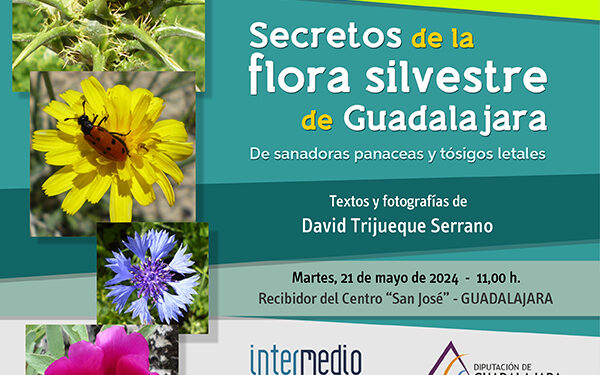 El Centro San José de la Diputación acoge la exposición ‘Secretos de la flora silvestre de Guadalajara’ 1 El Centro San José de la Diputación acoge la exposición ‘Secretos de la flora silvestre de Guadalajara’