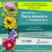 El Centro San José de la Diputación acoge la exposición ‘Secretos de la flora silvestre de Guadalajara’ 3 El Centro San José de la Diputación acoge la exposición ‘Secretos de la flora silvestre de Guadalajara’