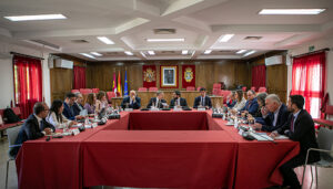 El Consejo de Gobierno aprueba 74 millones de euros para garantizar, en 666 ayuntamientos de la región, la prestación de servicios sociales y atención a domicilio