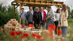 El Gobierno regional colabora con SEACAM para abordar la necesaria conservación de los insectos en los ecosistemas de la Reserva de la Biosfera de la Mancha Húmeda