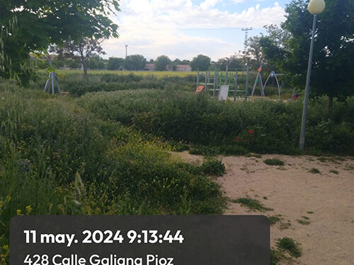 El PP de Pioz pide al gobierno municipal que “tome medidas” en el parque de La Galiana por el vandalismo que se está produciendo tras su cierre