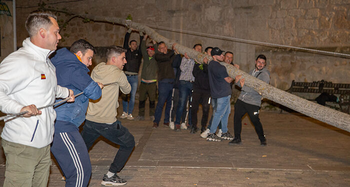 El mayo quedó plantado en la plaza Mayor de Trillo tras un enorme esfuerzo de los mozos participantes 1 El mayo quedo plantado en la plaza Mayor tras un enorme esfuerzo de los mozos participantes 1