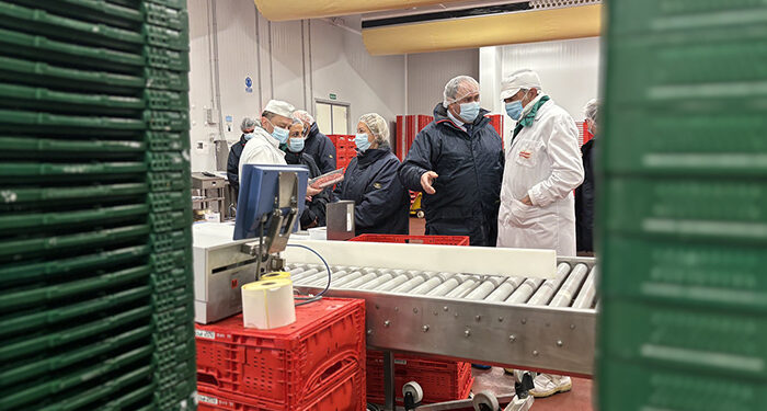 El sector agroalimentario supone un tercio del total de facturación de la exportación de Castilla-La Mancha 1 El sector agroalimentario supone un tercio del total de facturación de la exportación de Castilla-La Mancha