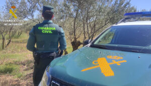 Guardia Civil