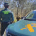 La Guardia Civil de Cuenca detiene a una persona e imputa a otra por sustraer 2.000 kilogramos de aceitunas en Campos de Paraíso 3 Guardia Civil