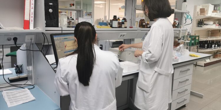 El IRIAF convoca una plaza para personal investigador en proyectos de I+D en Albaladejito 1 El IRIAF convoca cuatro plazas para personal investigador en proyectos de I+D en Albaladejito