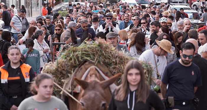 La Fiesta de la Espiga abre la celebración de San Isidro en Azuqueca 1 La Fiesta de la Espiga abre la celebración de San Isidro en Azuqueca