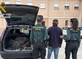 La Guardia Civil de Guadalajara detiene en Gajanejos a una persona por robo de cable de cobre del tendido telefónico