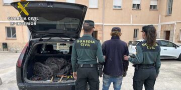 La Guardia Civil de Guadalajara detiene en Gajanejos a una persona por robo de cable de cobre del tendido telefónico