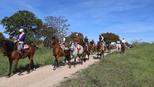 La I Romería con bueyada de Yebes “un éxito en organización, convivencia y buen ambiente”